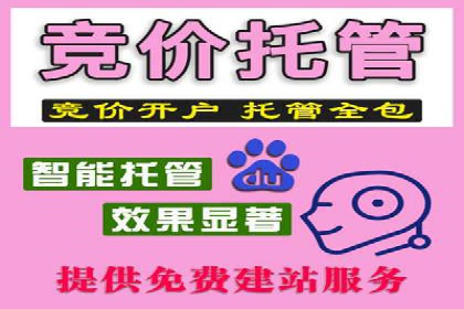 网站sem托管全流程解析，让效果立竿见影